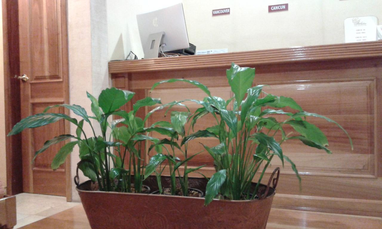 Cancun International Suites Zewnętrze zdjęcie